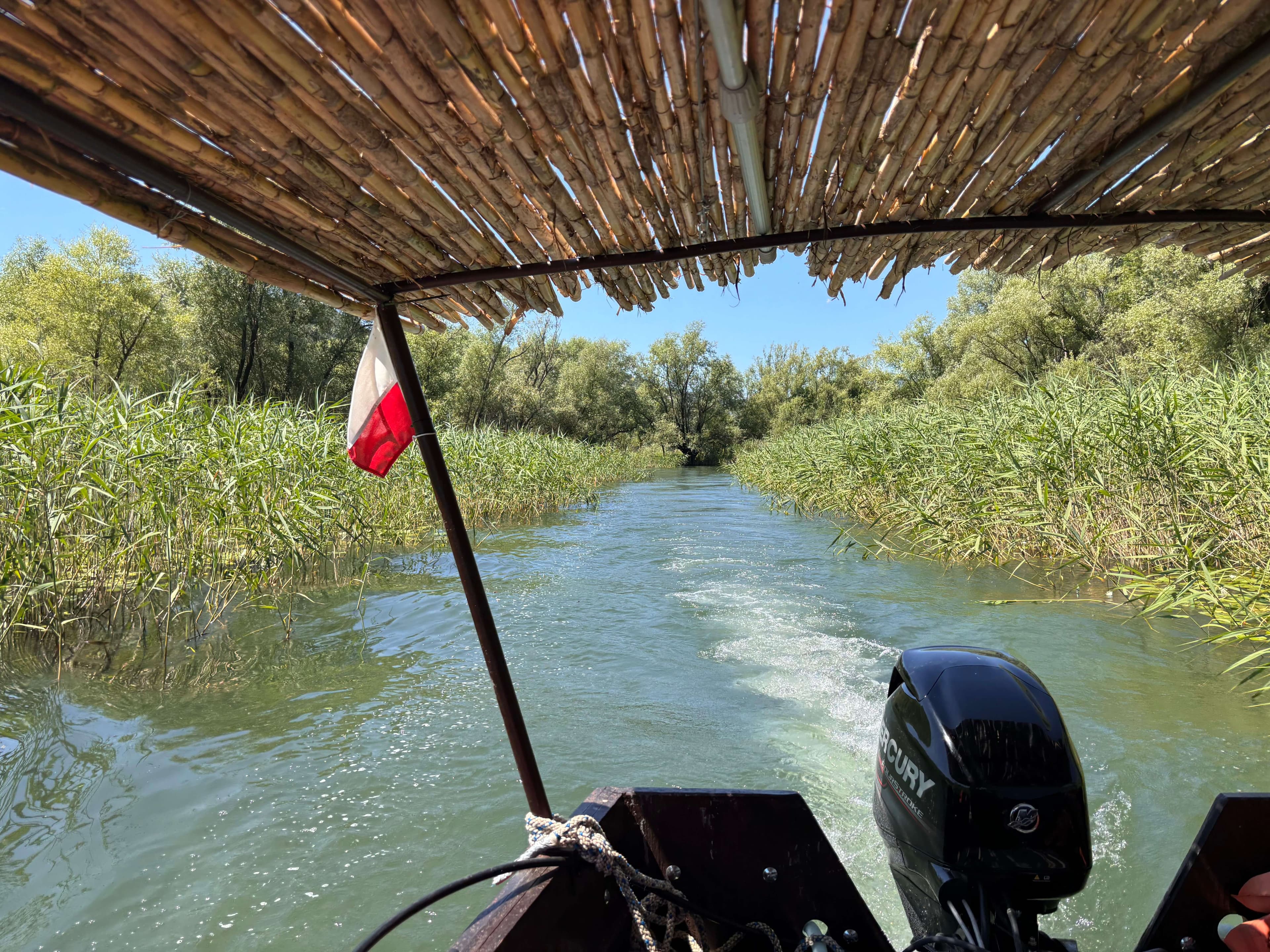 Privates Boot in einem schmalen Schilfkanal des Flusses Crnojevića, Skadar See, Montenegro
