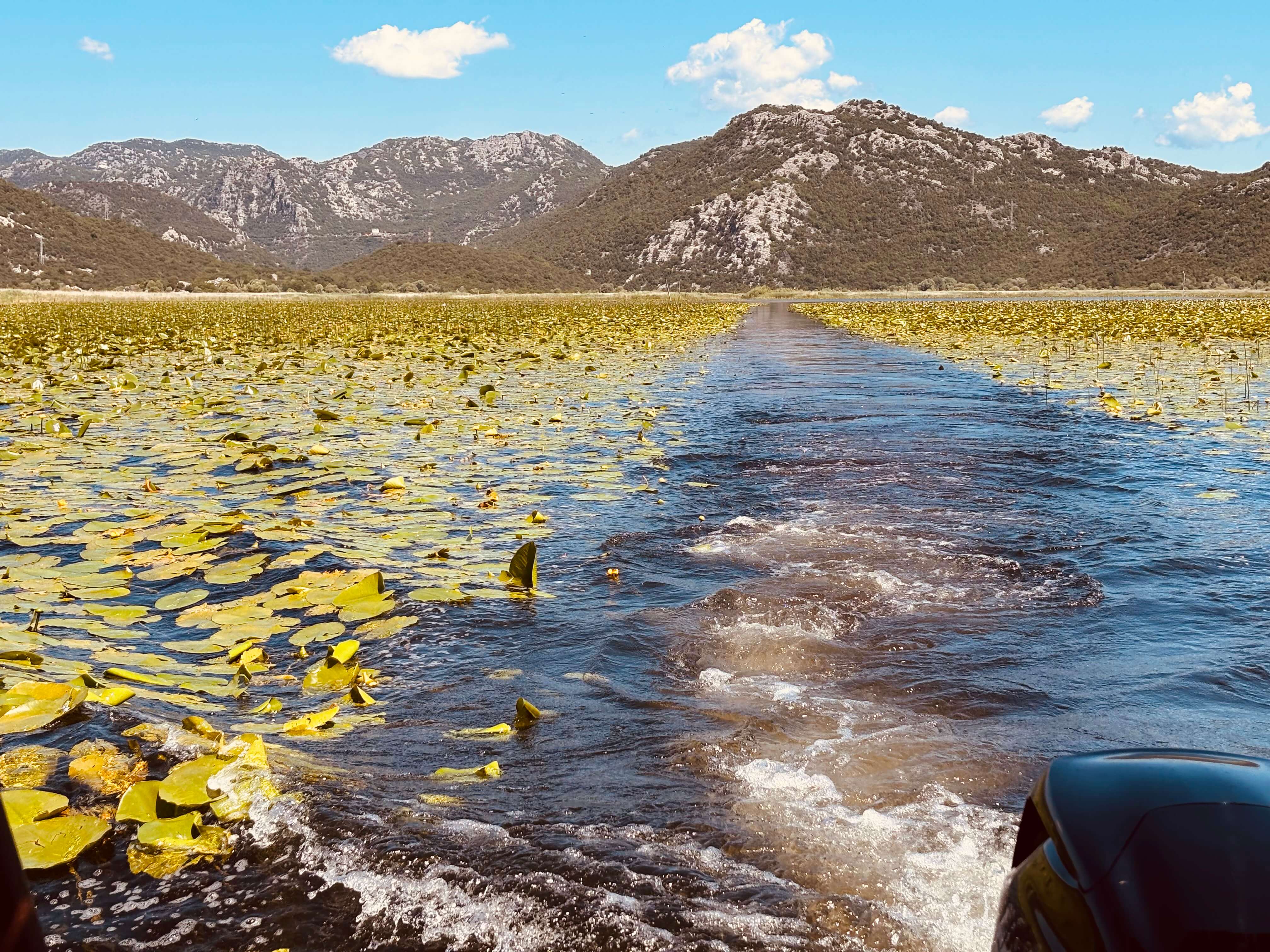 Offener Kanal durch die Seerosenfelder des Skadar Sees, mit den Karstbergen im Hintergrund, Montenegro