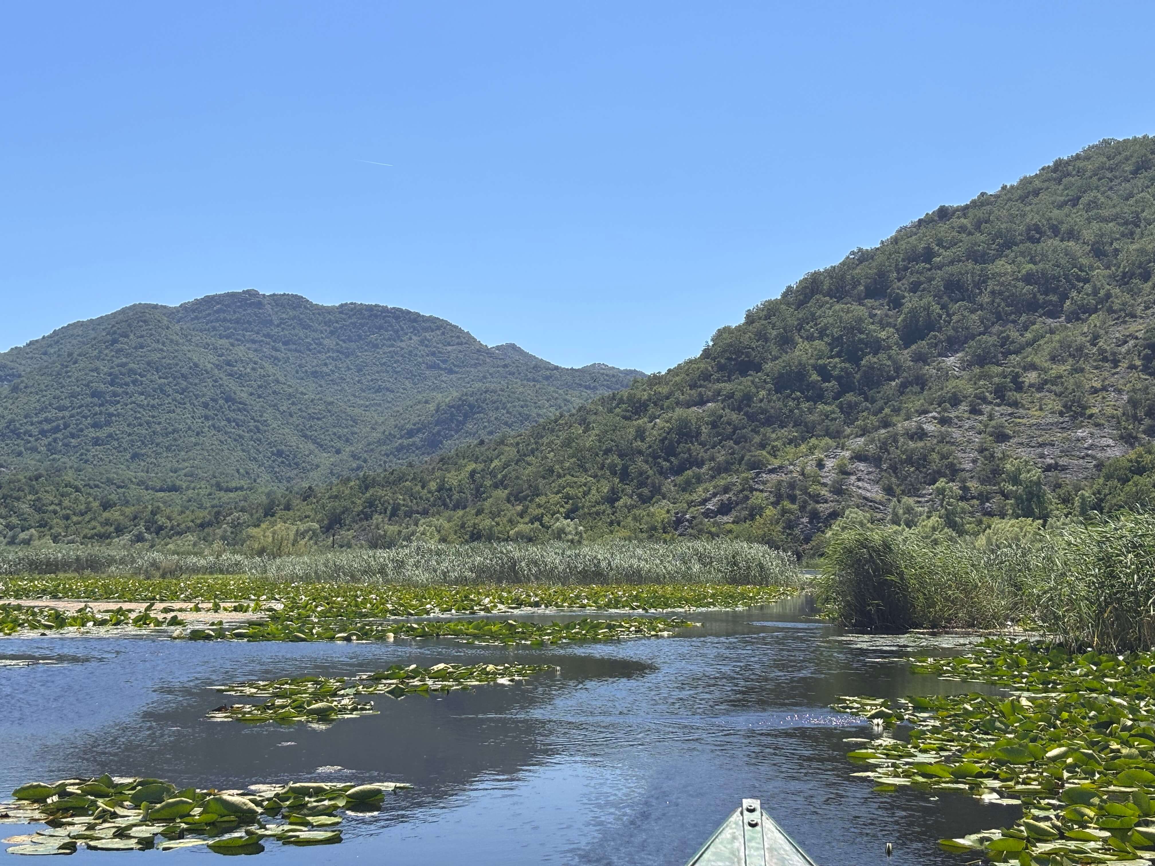 Offenes Wasser und Seerosen, von Bergen eingerahmt, am Skadar See, Montenegro